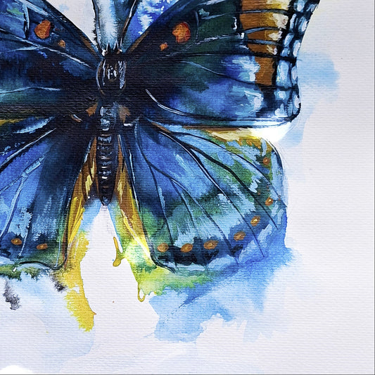 Abstract Realism Study; Butterfly