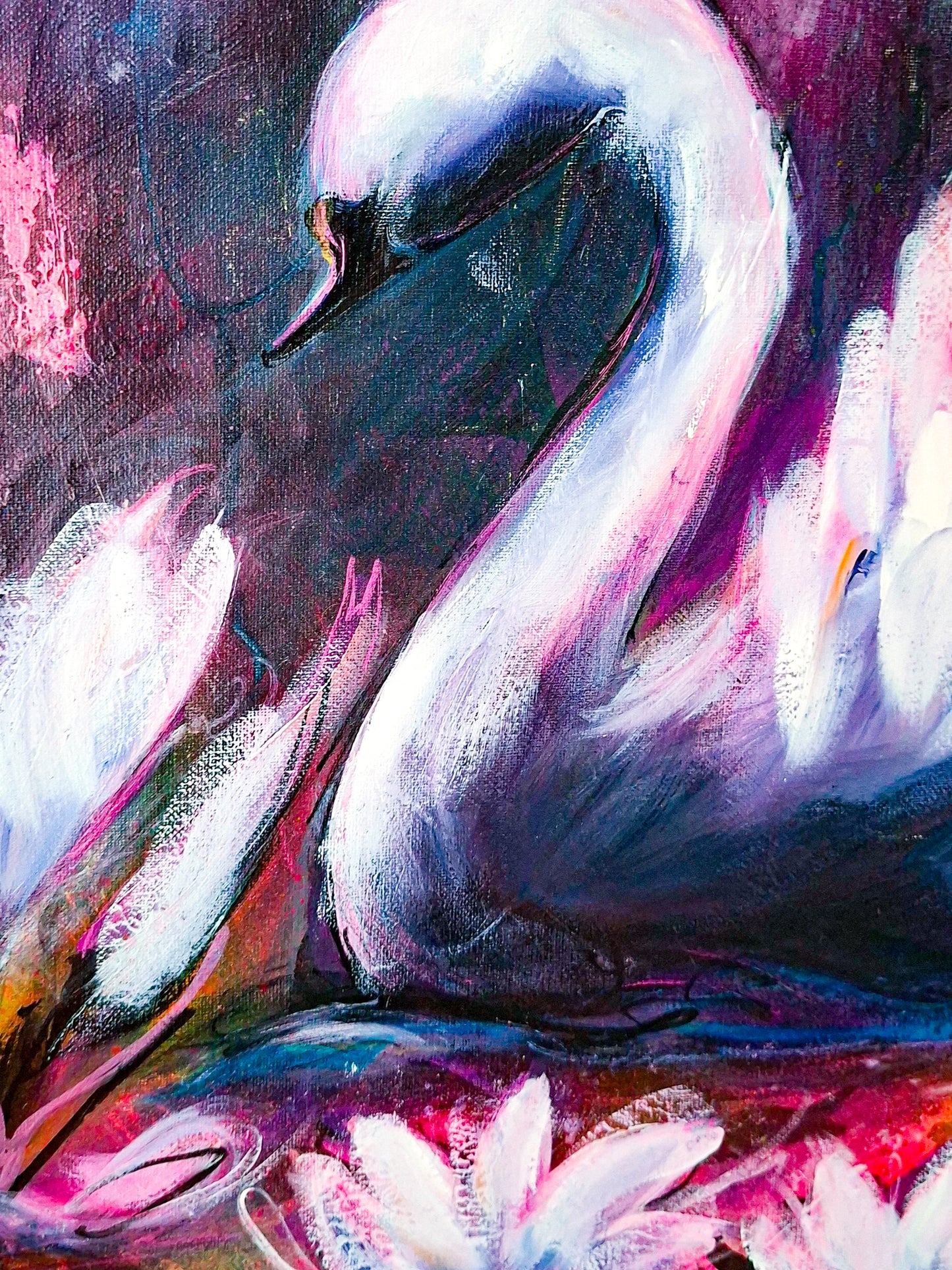 Swan No. 87 (Black-Pink)