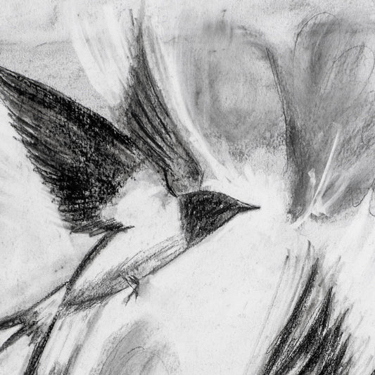 Swallows Dance