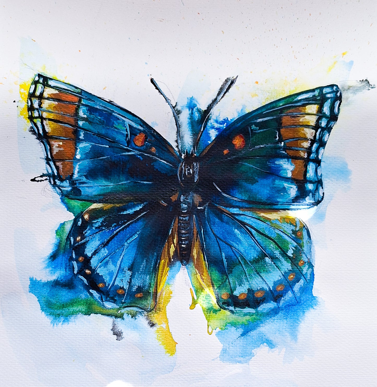 Abstract Realism Study; Butterfly