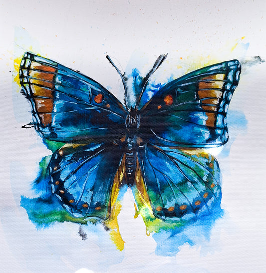 Abstract Realism Study; Butterfly
