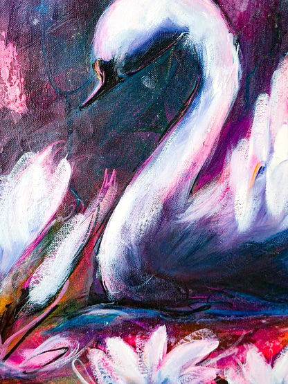 Swan No. 87 (Black-Pink)