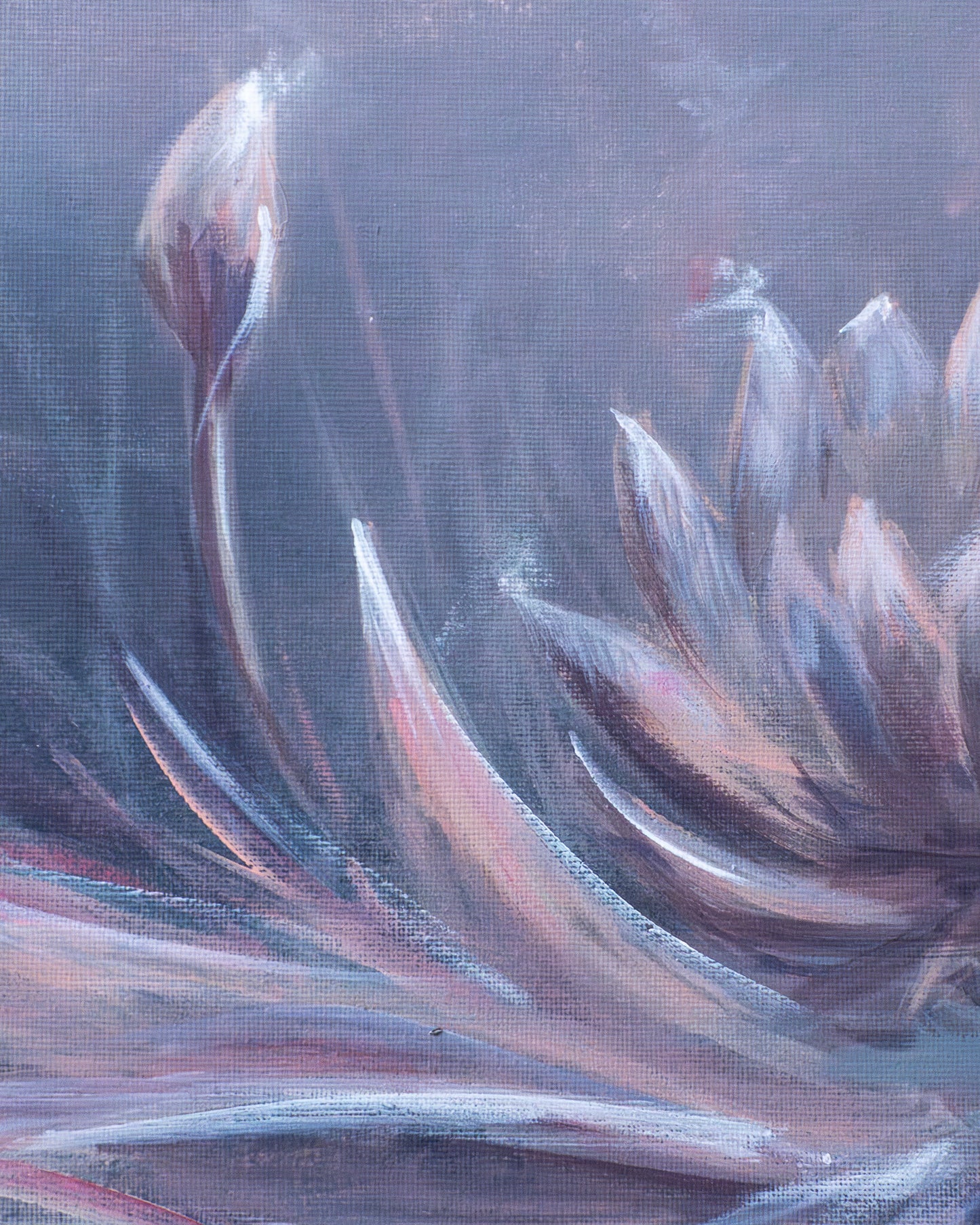 Silence of the water lilies