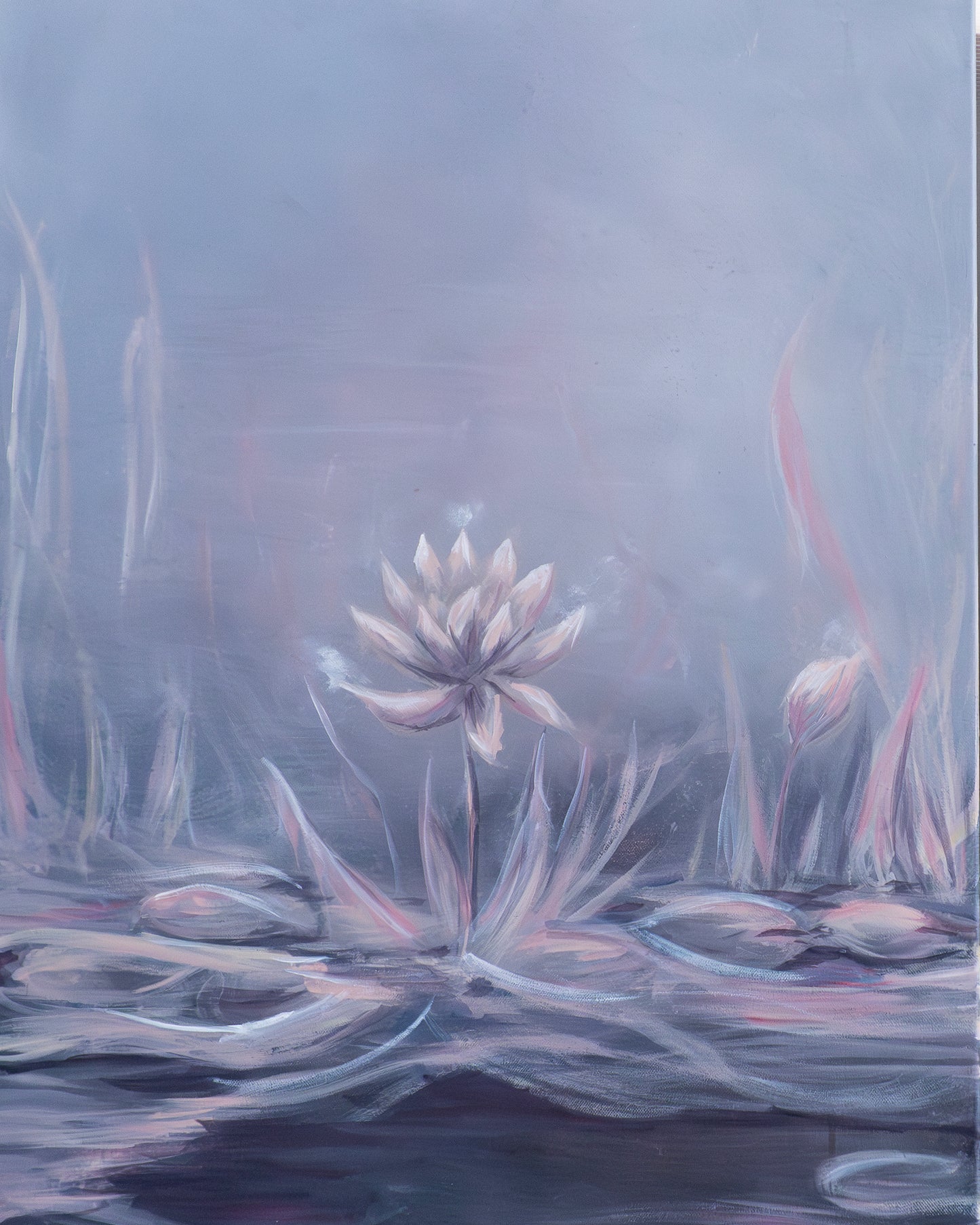 Silence of the water lilies