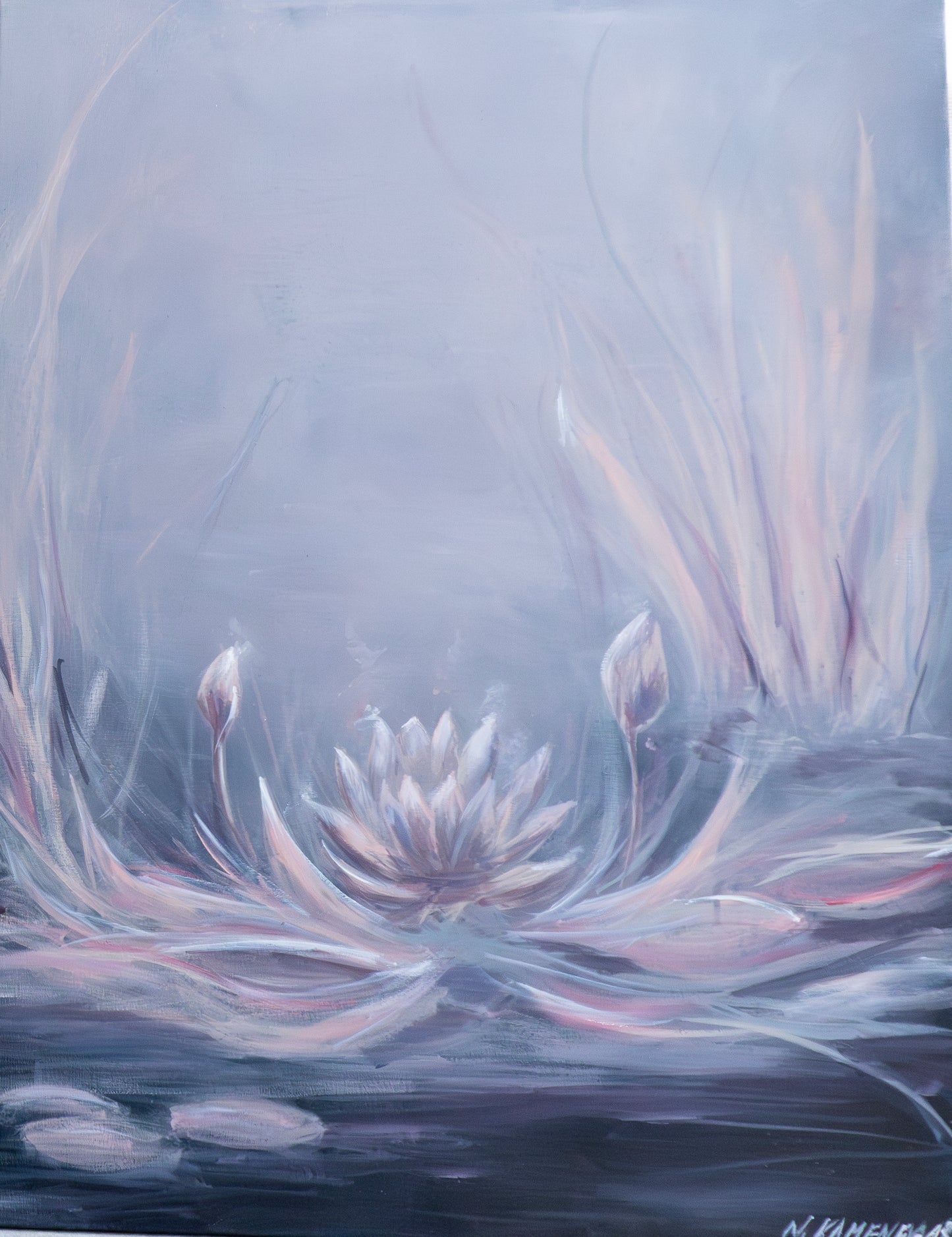 Silence of the water lilies