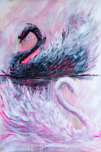 Swan No. 78 (Black-Pink)