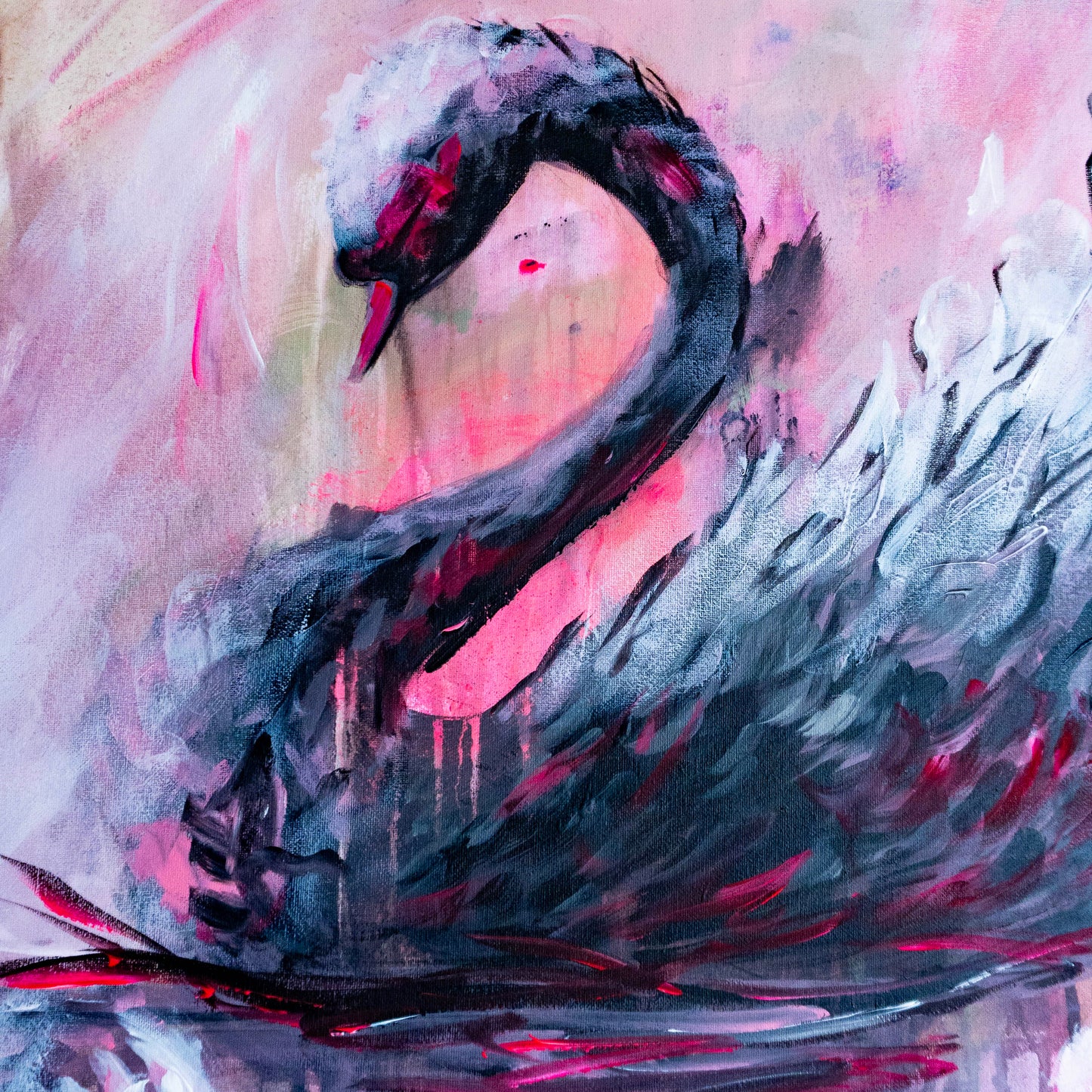 Be a White Swan!