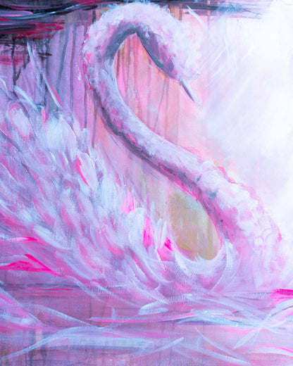 Swan No. 78 (Black-Pink)