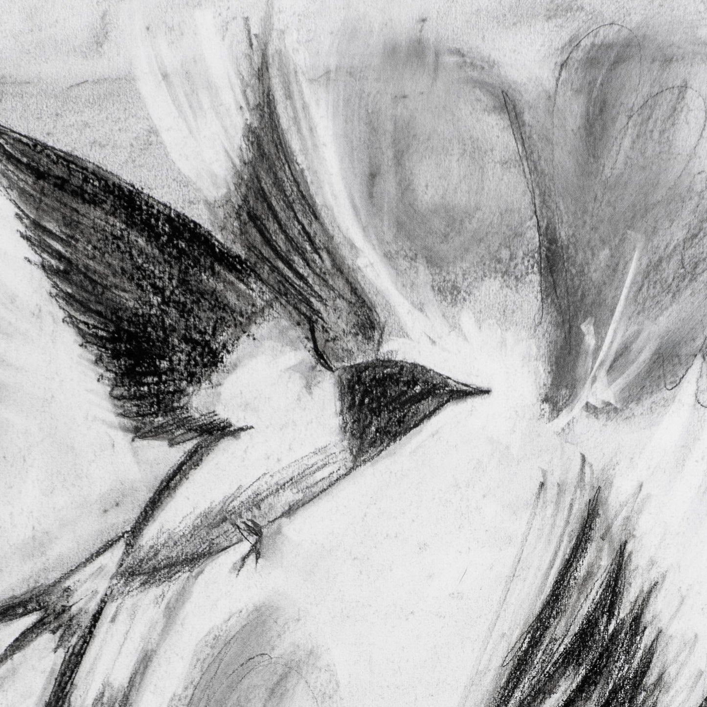 Swallows Dance