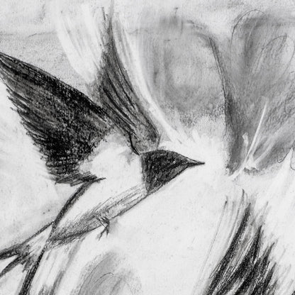 Swallows Dance