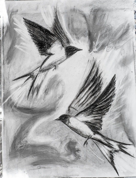 Swallows Dance