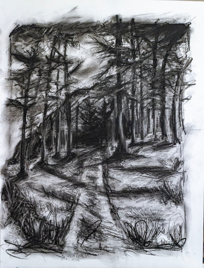 Forest of Grisons