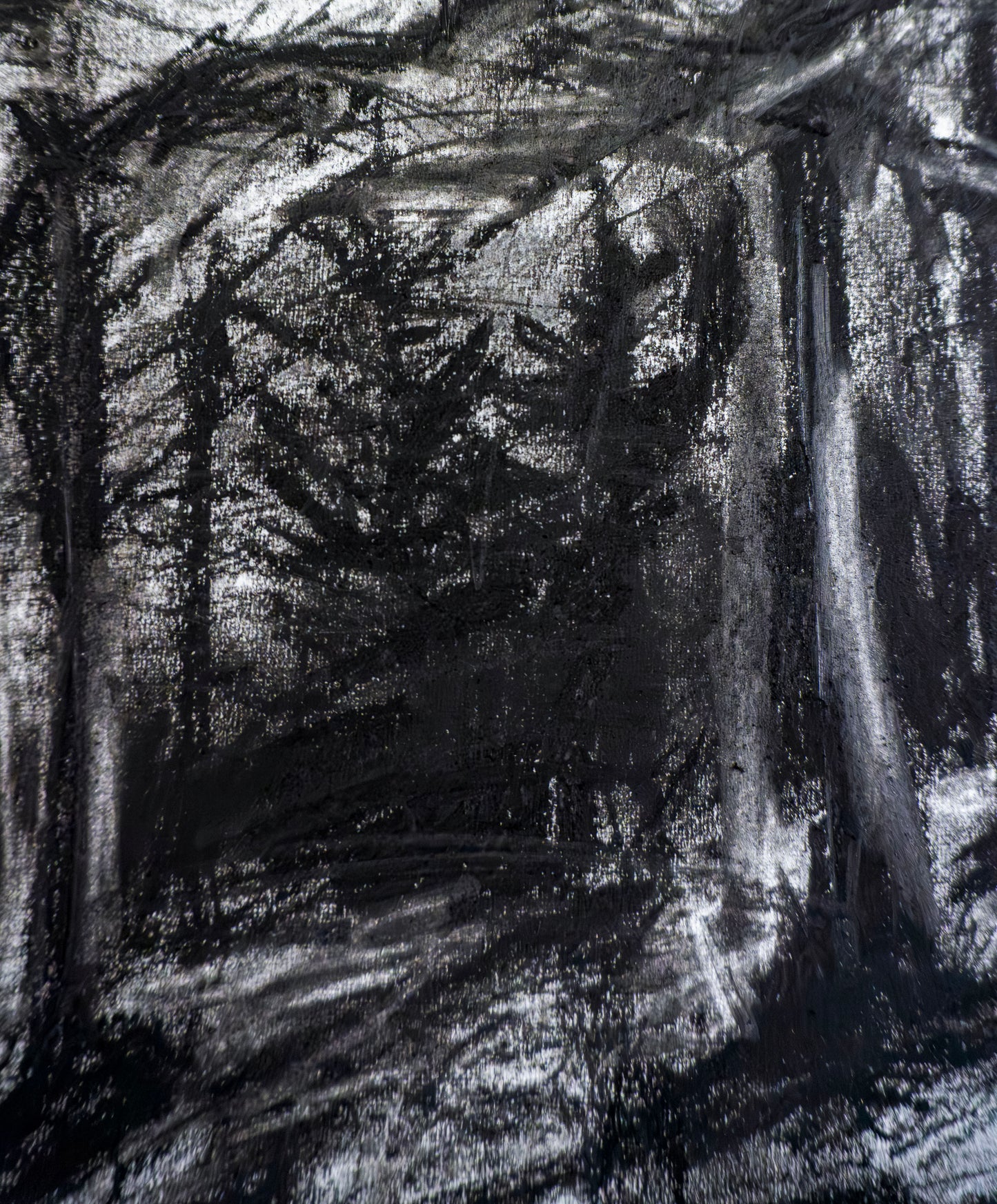 Forest of Grisons