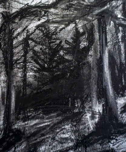 Forest of Grisons