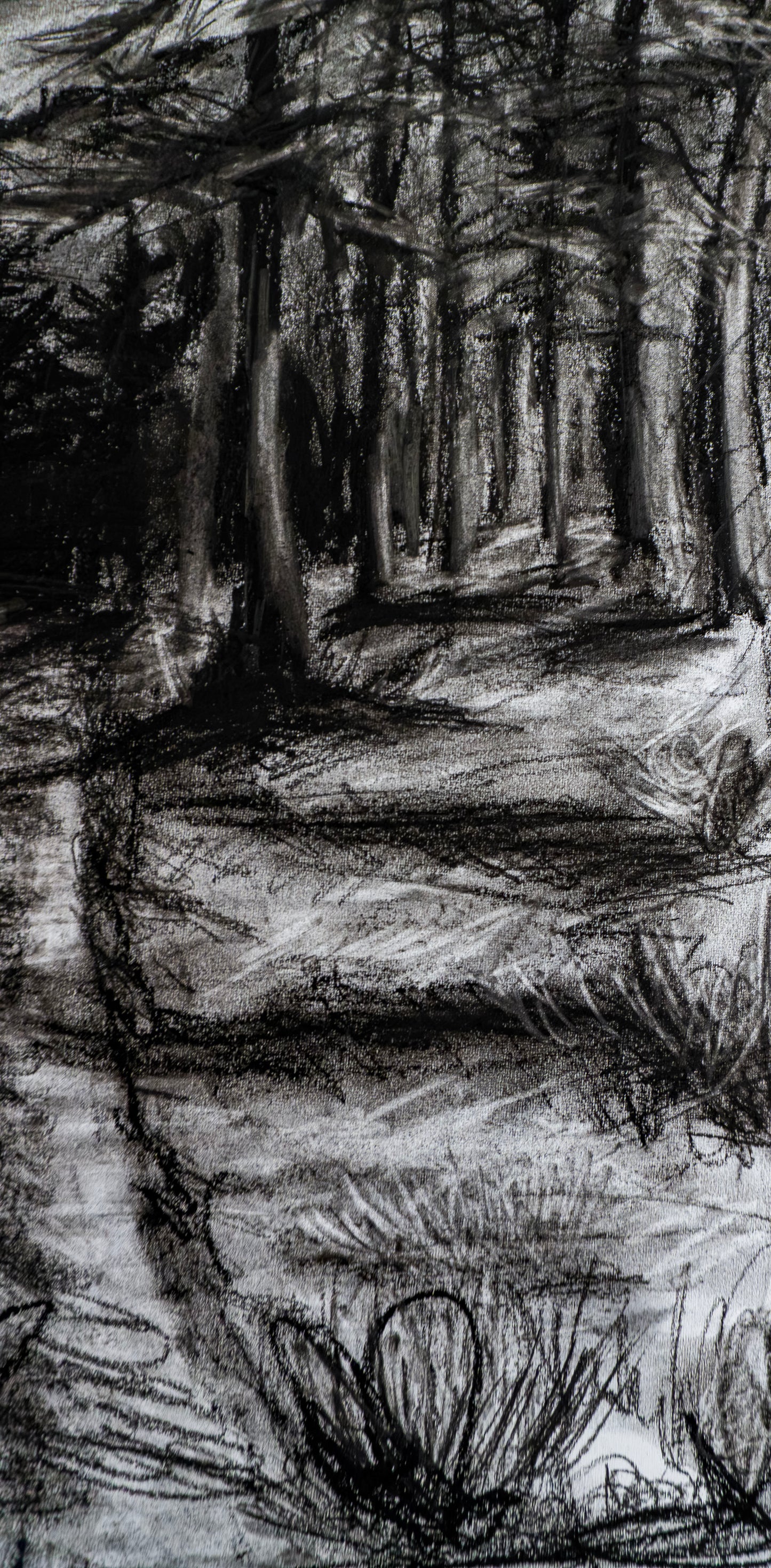 Forest of Grisons
