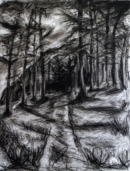 Forest of Grisons