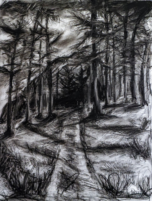 Forest of Grisons