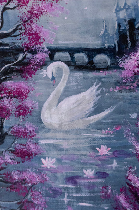 Swan No. 48 (Black-Pink)