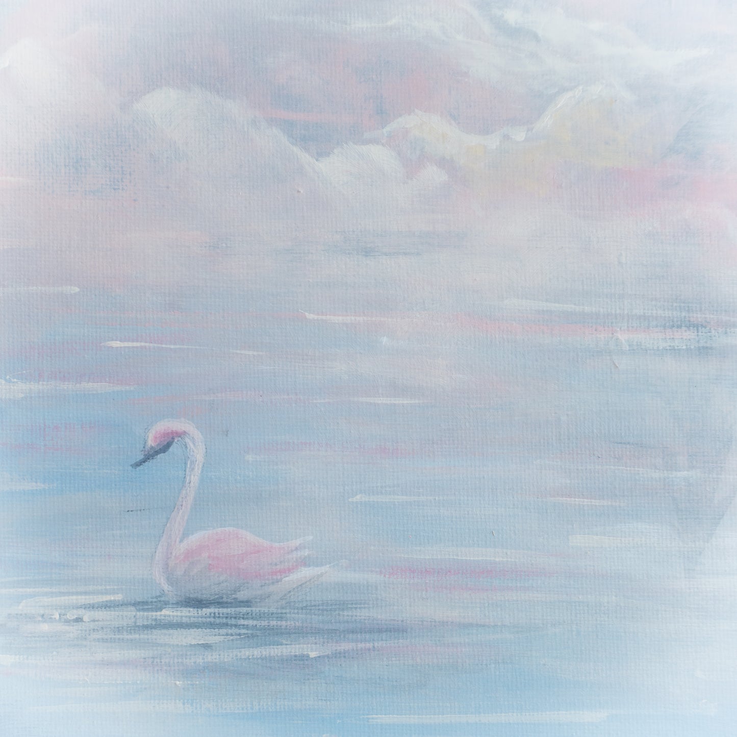 Swan No. 60 (Blue-Pink)