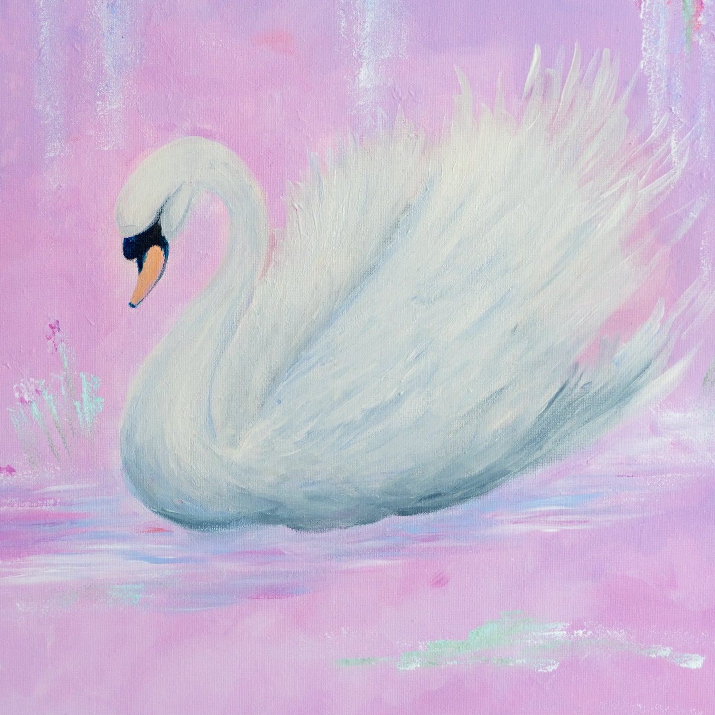 Swan No. 62 (Pink)